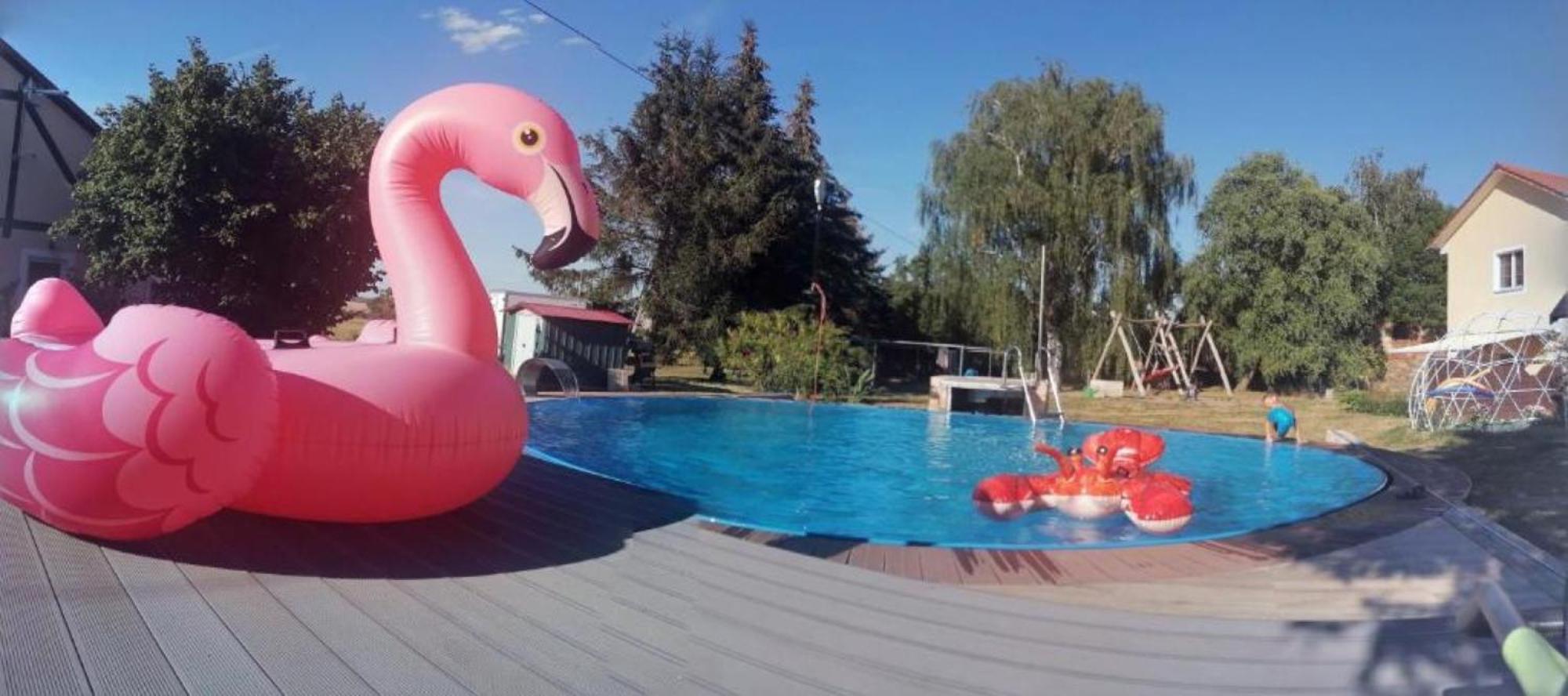 Apartament Hof Gruebler Klipphausen Zewnętrze zdjęcie