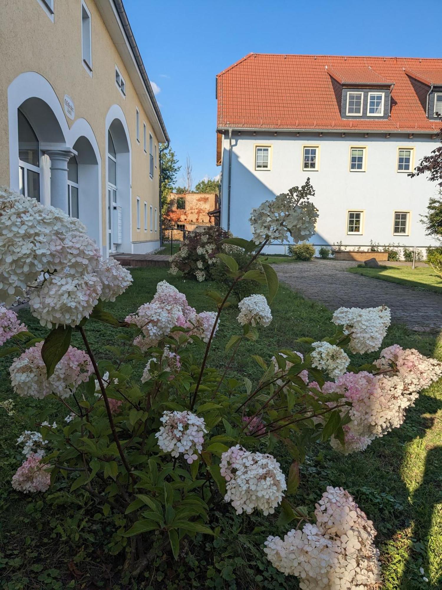 Apartament Hof Gruebler Klipphausen Zewnętrze zdjęcie